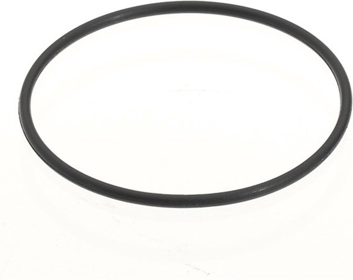 Sicce Syncra Nano O-Ring