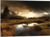 Acrylglas - Landschap - Gras - Bomen - Wolken - Water - 80x60 cm Foto op Acrylglas (Wanddecoratie op Acrylaat)