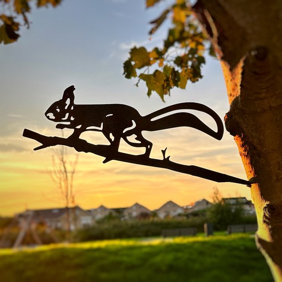 Metalbird - Acier Corten - Décoration de jardin - Déco arbre - Écureuil - 34x13cm