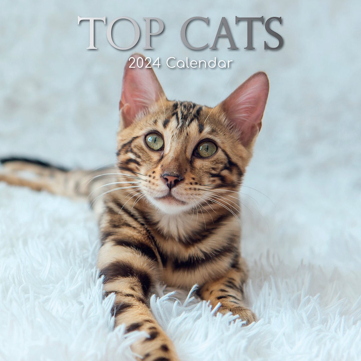 Top Cats Kalender 2024
