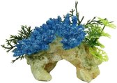 Blue Belle Pacific Coral Rock Staghorn Blue 12 Cm
