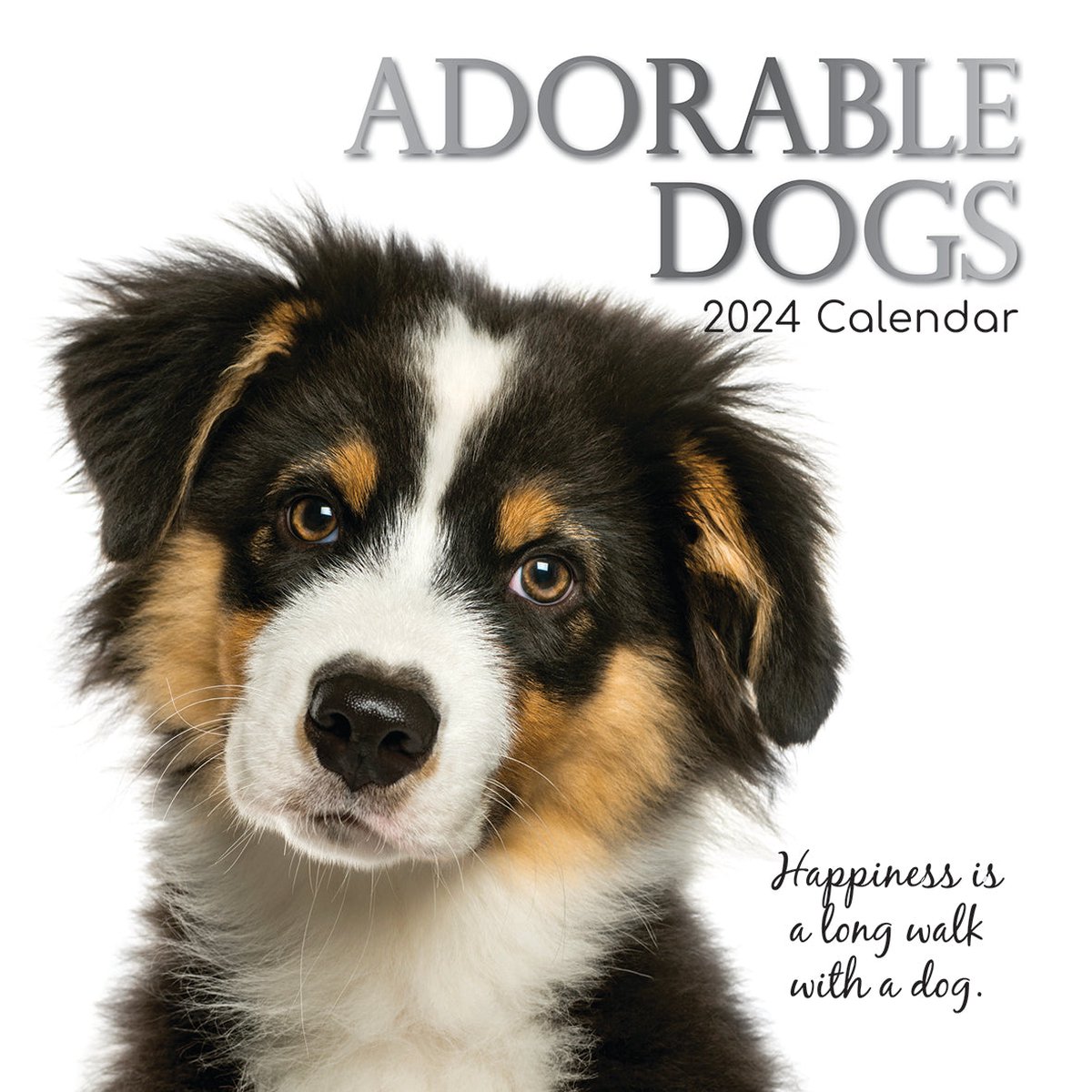 Adorable Dogs Kalender 2024