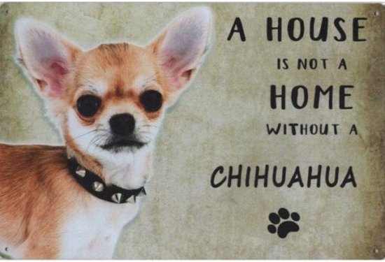 Plaque murale en métal Dog Chiens Dog - Une maison n'est pas une Home sans un chihuahua - 20 x 30 cm