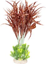 Plant java fern Gemengde kleuren XL - height 45cm