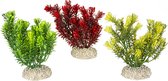Aqua Della - Aquariumdecoratie - Vissen - Plant Canadensis S - Height 13cm Gemengde Kleuren - 1st