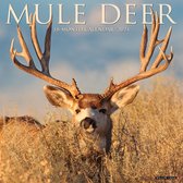 Mule Deer Kalender 2024