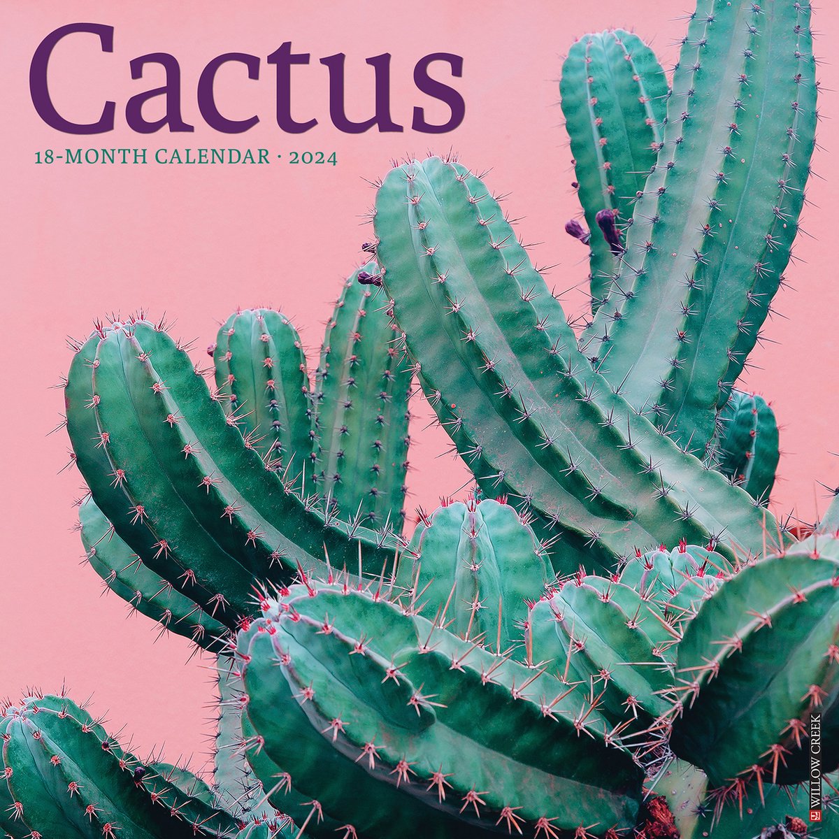 Cactus Kalender 2024