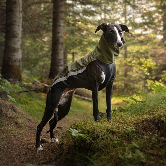 Avis et commentaires de Manteau pour chien - Blouson de moto bleu