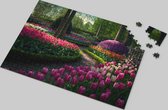 Tulpen Puzzel - Betoverende Bloemenpracht - Legpuzzel - 500 Stukjes - Natuur - Hoogwaardige Kartonnen Puzzel - Natuurlijke Schoonheid - Ontspannende Tijdverdrijf - Kleurrijke Tulpenweelde