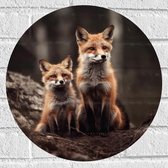 Muursticker Cirkel - Moeder vos en kind zitten in een bos - 40x40 cm Foto op Muursticker
