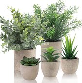 Kunstplant klein, kunstplanten net echt in pot, badkamer decoratieve planten, potplant decoratieve planten, decoratieve kunstplanten