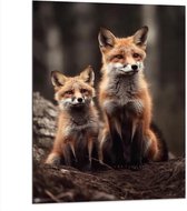 Dibond - Moeder vos en kind zitten in een bos - 75x100 cm Foto op Aluminium (Met Ophangsysteem)