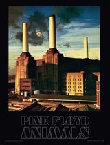Pink Floyd Animals Art Print 30x40cm | Poster
