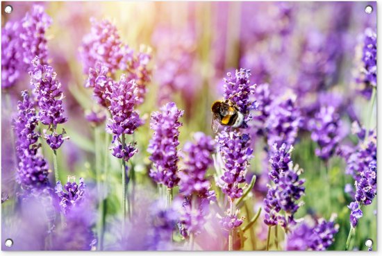 Foto: Tuindecoratie lavendel bloemen natuur 90x60 cm tuin schutting decoratie tuinposter schuttingdoek buitenposter tuinversiering balkon decoratie tuinschilderij tuindoek buitenposter