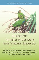 Princeton Field Guides146- Birds of Puerto Rico and the Virgin Islands