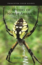 Princeton Field Guides126- Spiders of North America