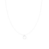OOZOO Jewellery - Zilverkleurige ketting met een appel - SN-2042