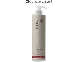 Rebalancing Cleanser 195 ml voor de gecombineerde en vette huid - Cleanser gezicht -…