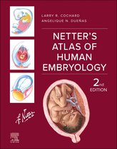 Netter Basic Science - Netter's Atlas of Human Embryology - E-BOOK