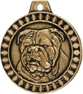 Hondenpenning - Rashond Engelse Bulldog