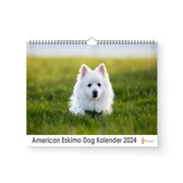 Kalender 2024 - American Eskimo dog - 35x24cm - 300gms - Spiraalgebonden - Inclusief ophanghaak