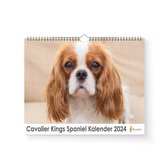 Kalender 2024 - Cavalier Kings Spaniel - 35x24cm - 300gms - Spiraalgebonden - Inclusief ophanghaak