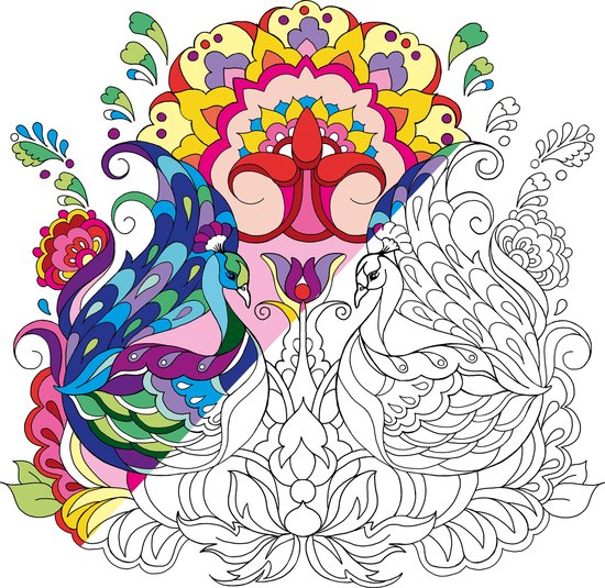 Masja van den Berg - Livre de coloriage de Masja - coloriage par numéro 2 - coloriage pour adultes