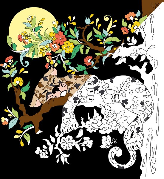 Masja van den Berg - Livre de coloriage de Masja - coloriage par numéro 2 - coloriage pour adultes