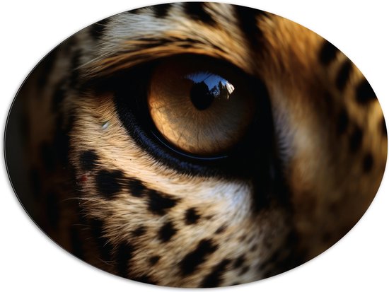 Dibond Ovaal - Close-up van Helder Oog van Luipaard - 96x72 cm Foto op Ovaal (Met Ophangsysteem)