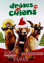 Firehouse Dog [3DVD]