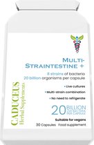Multi-Straintestine 30 capsules