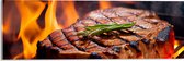 Acrylglas - Brandende Steak op Barbecue - 60x20 cm Foto op Acrylglas (Met Ophangsysteem)