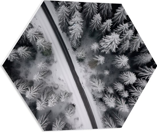 PVC Schuimplaat Hexagon - Bovenaanzicht van Pad tussen Twee Bossen bedekt met Sneeuw (Zwart-wit) - 60x52.2 cm Foto op Hexagon (Met Ophangsysteem)