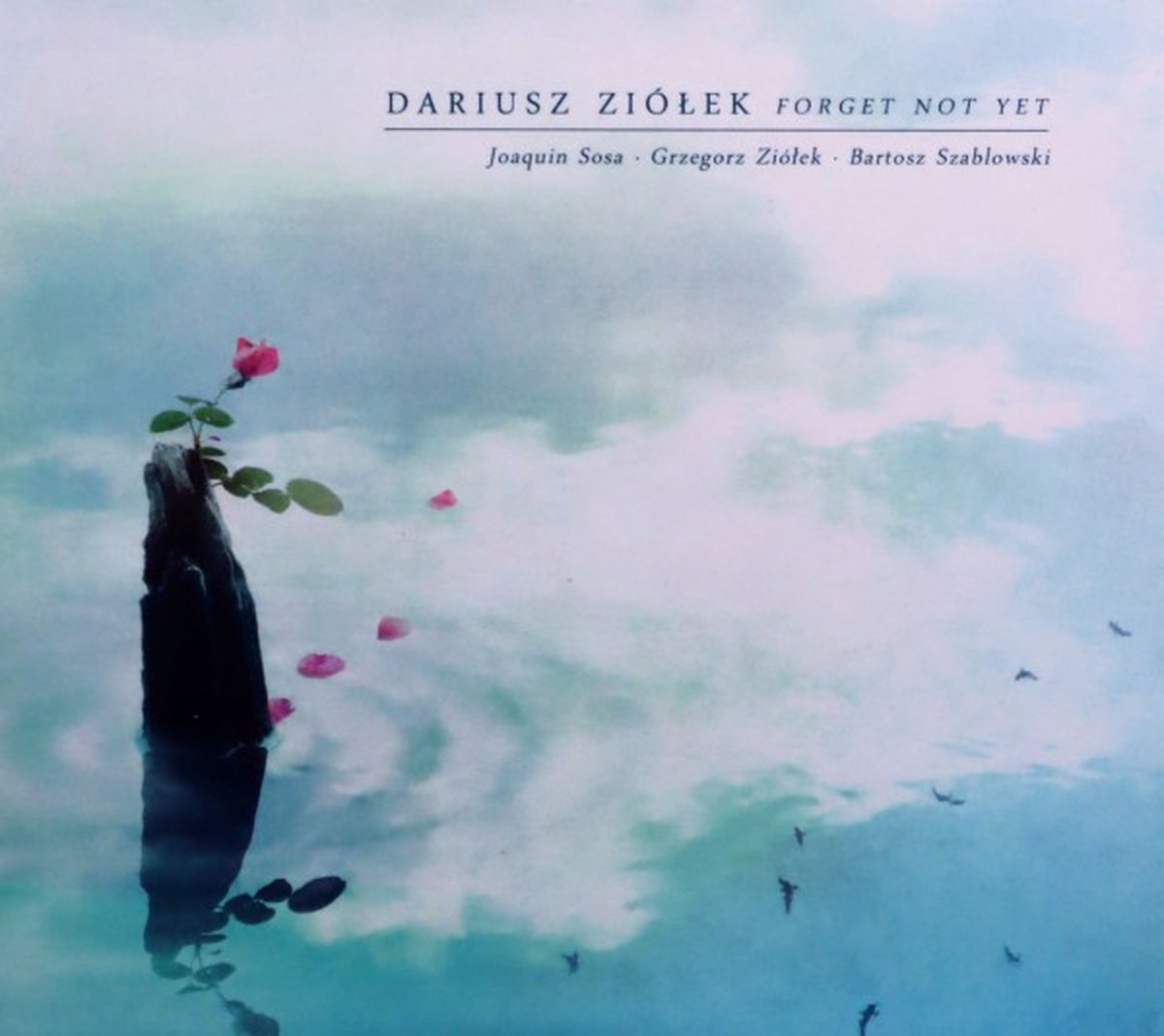 Dariusz Ziółek: Forget Not Yet [CD]