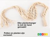 2x Handgemaakte Macrame Plant Hangers - Bloempot hangers - Wanddecoratie - Tuin interieur - Bohemian Deco - van Heble®