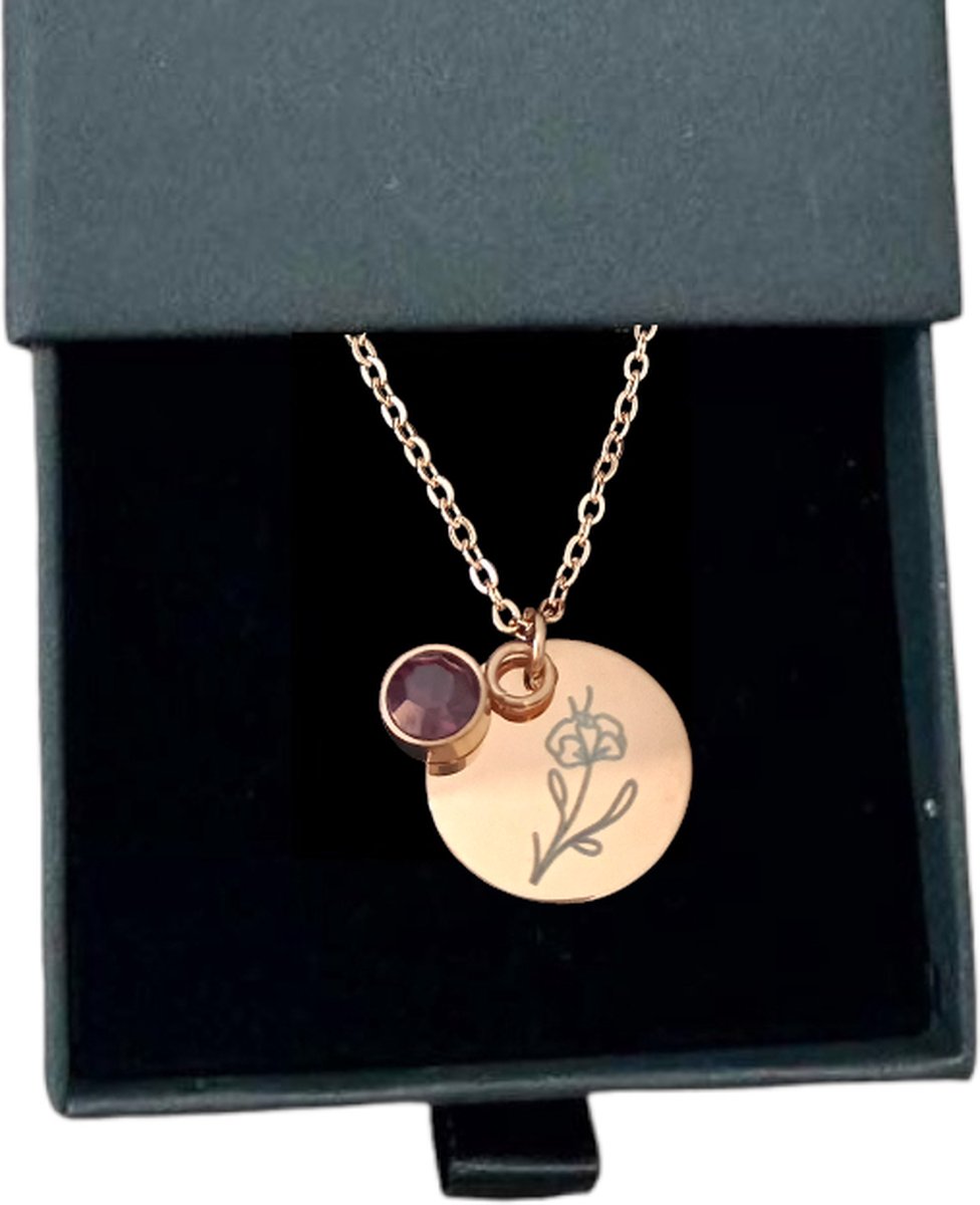 Goedkoopste Rosey’s® - Geboortesteenketting februari - Geboortesteenketting - rose gold - Geboortesteen - Geboortesteen februari - Birth stone - Persoonlijke ketting - Babyshower - Kraamcadeau - Moeder cadeau- Geboortesteen ketting februari