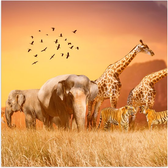 Poster Glanzend – De Dieren van het Afrikaanse Landschap - 100x100 cm Foto op Posterpapier met Glanzende Afwerking