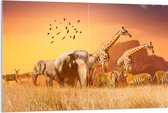Acrylglas - De Dieren van het Afrikaanse Landschap - 120x80 cm Foto op Acrylglas (Wanddecoratie op Acrylaat)