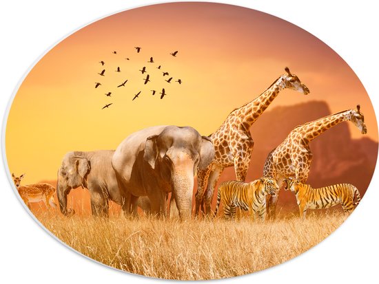 PVC Schuimplaat Ovaal - De Dieren van het Afrikaanse Landschap - 40x30 cm Foto op Ovaal (Met Ophangsysteem)
