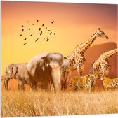 Acrylglas - De Dieren van het Afrikaanse Landschap - 100x100 cm Foto op Acrylglas (Wanddecoratie op Acrylaat)