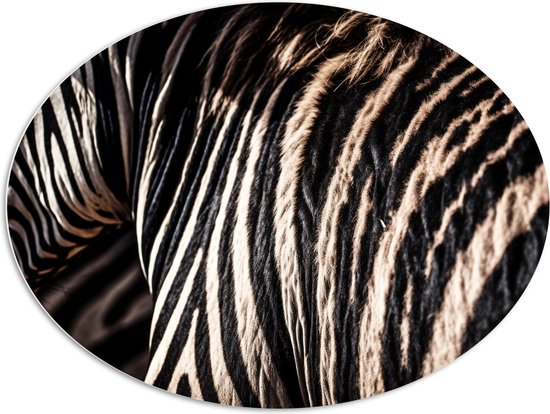 PVC Schuimplaat Ovaal - Close-up van Strepen van een Zebra - 108x81 cm Foto op Ovaal (Met Ophangsysteem)