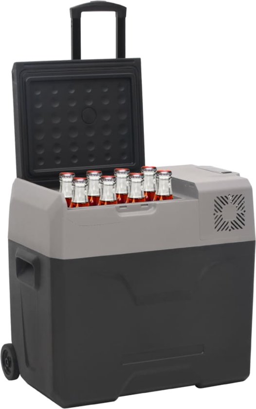 vidaXL - Koelbox - met - wielen - en - handvat - 30 - L - polypropeen - zwart - en - grijs van Vidaxl — afbeelding 3
