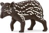 Jonge Tapir, Zwart
