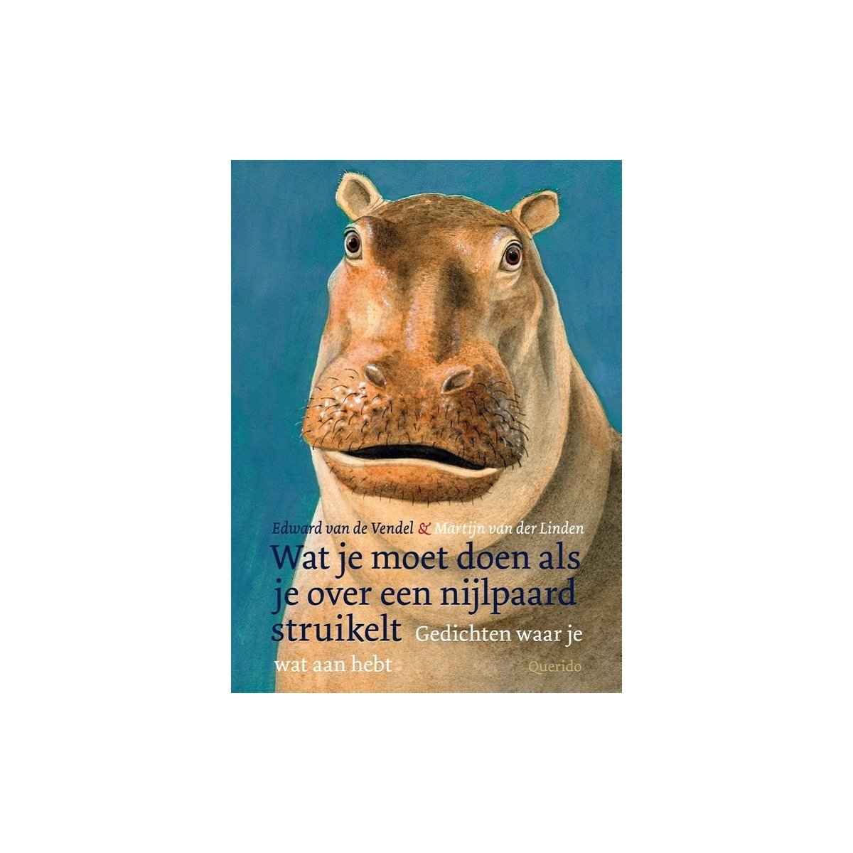Wat je moet doen als je over een nijlpaard struikelt - Edward van de Vendel