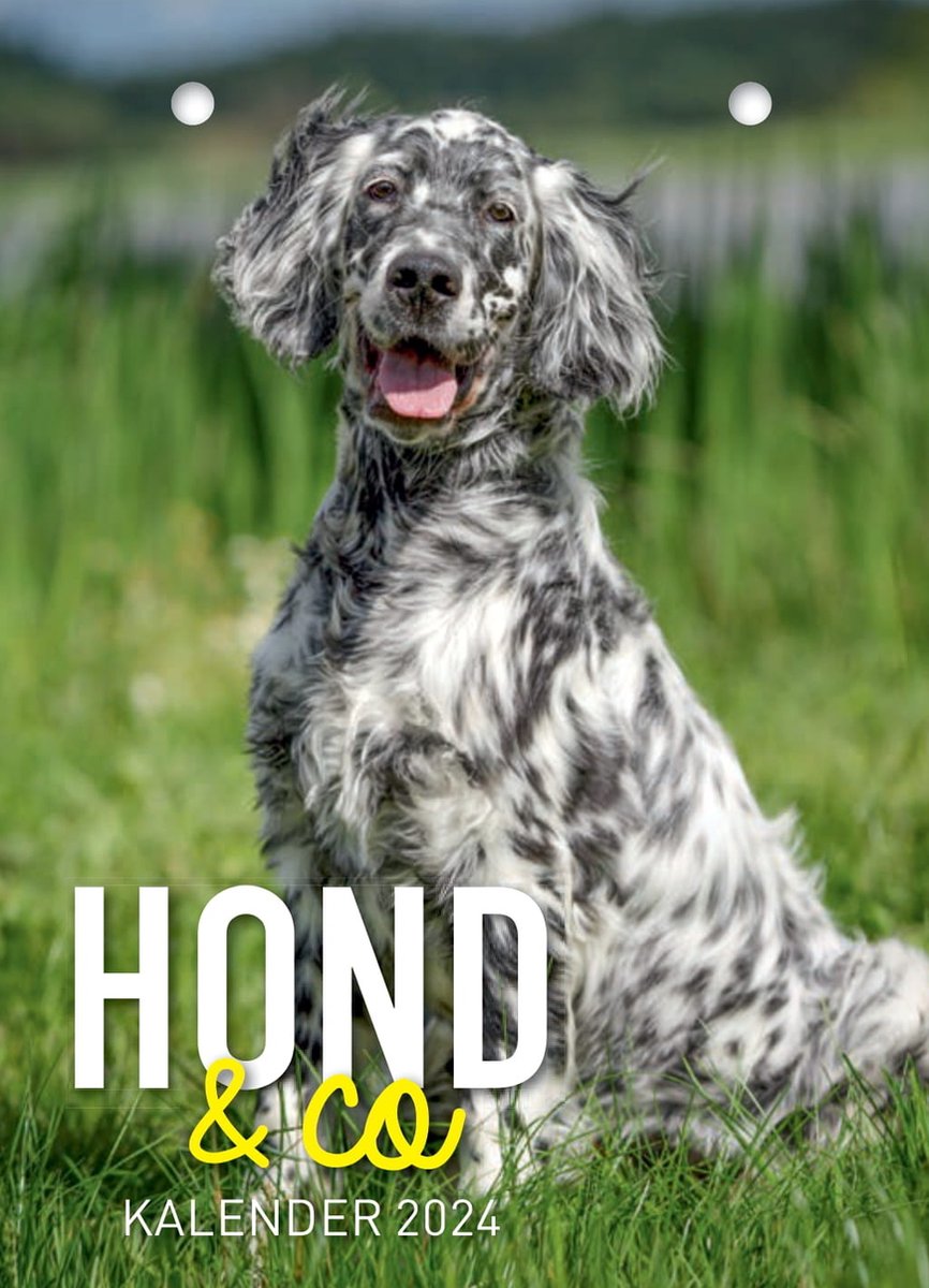Hond & Co Scheurkalender 2024