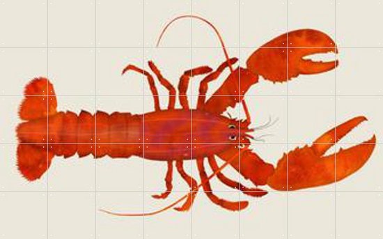IXXI Lobster - Wanddecoratie - Dieren en insecten - 160 x 100 cm