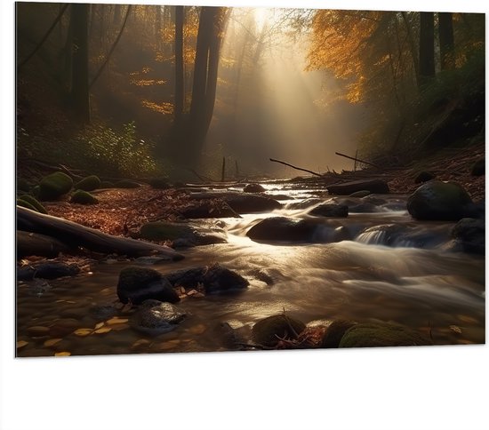 Dibond - Bossen - Water - Stenen - Takken - Bladeren - Boomstronk - Bomen - 100x75 cm Foto op Aluminium (Met Ophangsysteem)