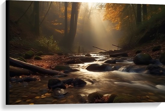 Canvas - Bossen - Water - Stenen - Takken - Bladeren - Boomstronk - Bomen - 90x60 cm Foto op Canvas Schilderij (Wanddecoratie op Canvas)