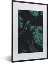 Fotolijst incl. Poster - Jungle - Palmboom - Bladeren - Tropisch - 40x60 cm - Posterlijst