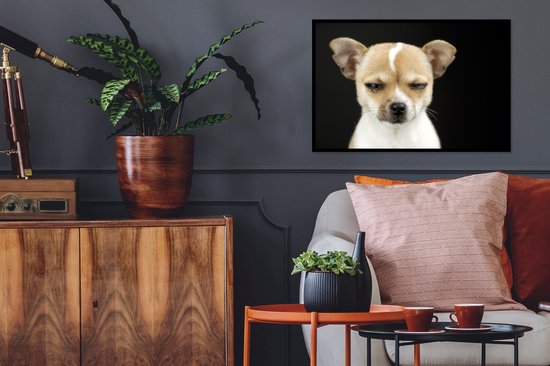 Photo encadrée - Chien hurlant sur fond noir cadre photo noir sans passe partout 60x40 cm - Affiche encadrée (Décoration murale salon / chambre)